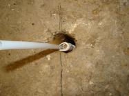 Diatono prima dell'iniezione